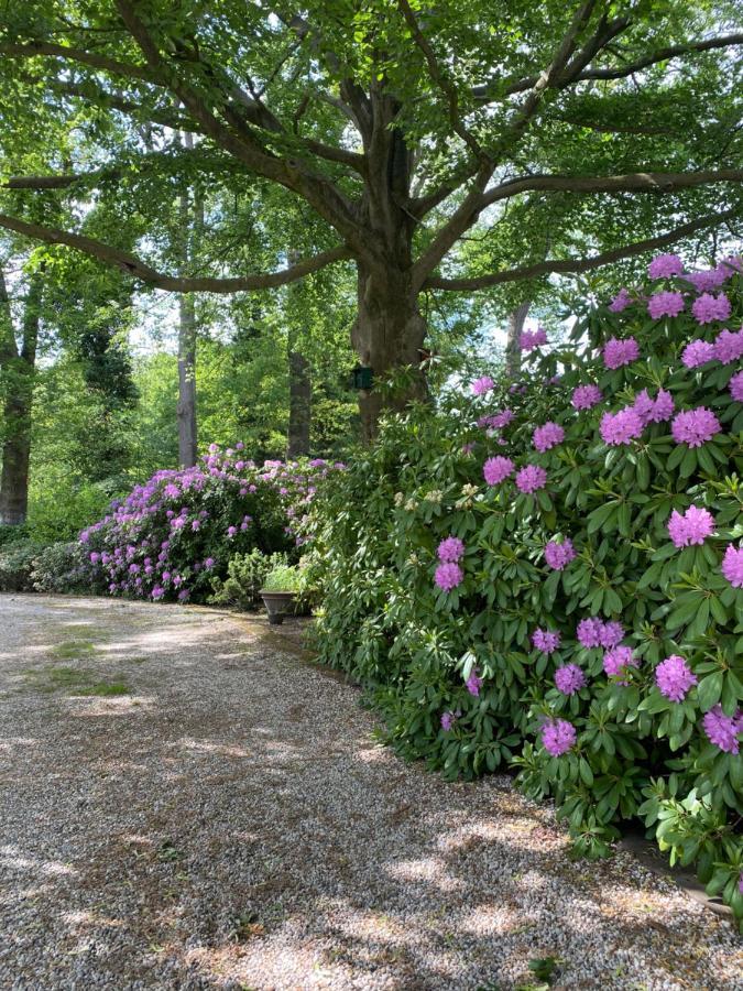 Bed And Breakfast Villa Beldershoek Hengelo  Zewnętrze zdjęcie